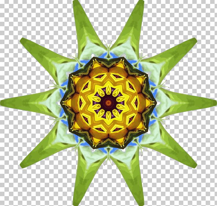Kaleidoscope Common Sunflower Drawing PNG, Clipart, Color, Common Sunflower, Drawing, Flower, Kaleidoscope Free PNG Download