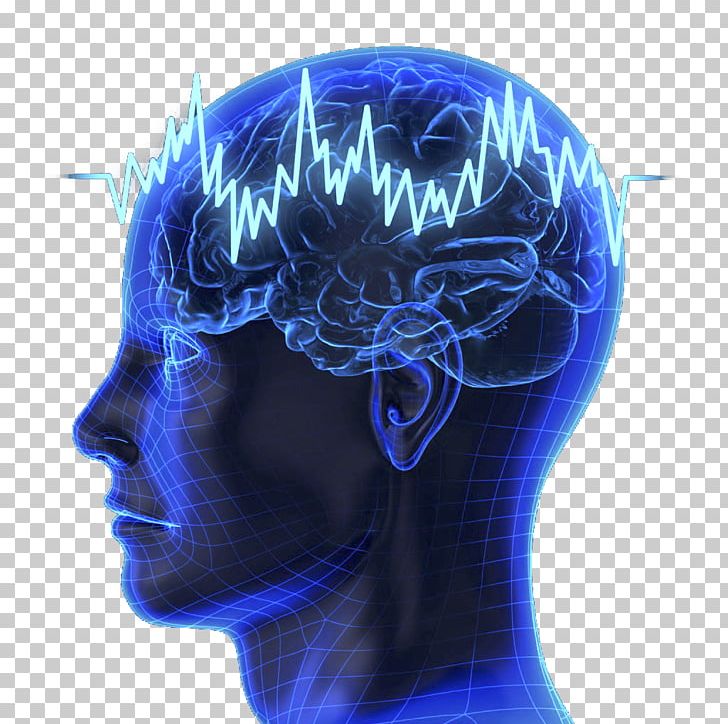 Neural Oscillation Brain Fingerprinting Brainwave Entrainment P300 PNG, Clipart, Brain, Brain Waves, Cerebral Cortex, Coba, Computer Free PNG Download