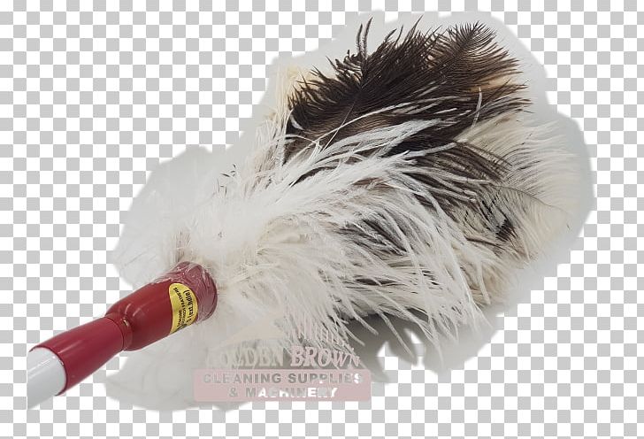 Common Ostrich Feather Duster Cleaning Mop PNG, Clipart, Cleaning, Common Ostrich, Dust, Feather, Feather Duster Free PNG Download