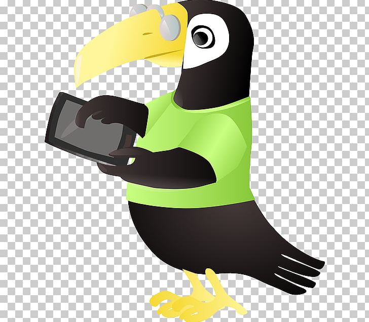 Bird Toucan Tablet Computers PNG, Clipart, Beak, Bird, Computer Icons, Download, Drawing Free PNG Download