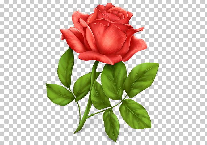 Rose PNG, Clipart, Rose Free PNG Download