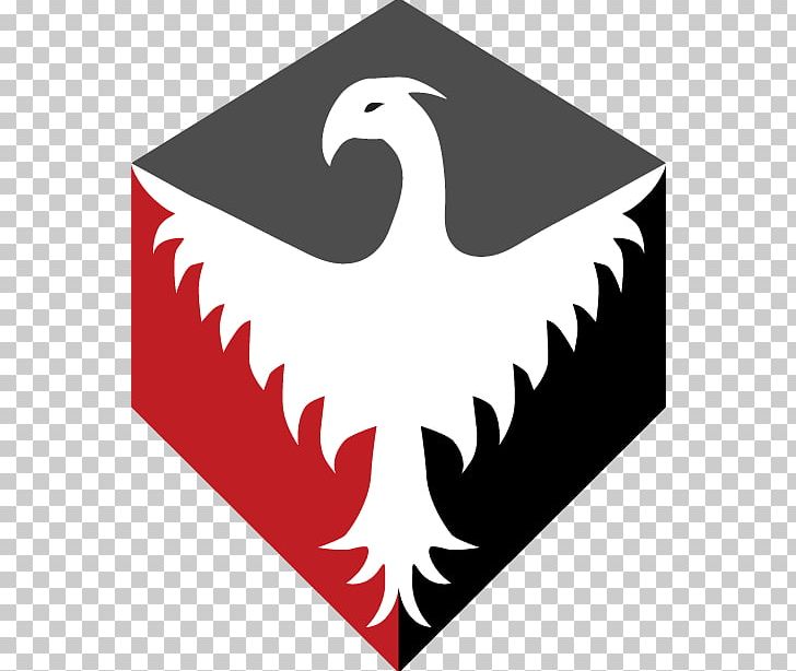 Bird Phoenix Logo Symbol PNG, Clipart, Animals, Beak, Bird, Bird Logo, Bird Of Prey Free PNG Download