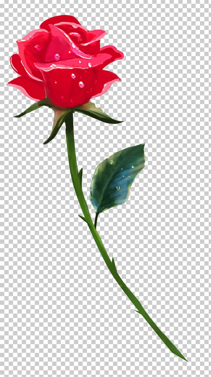 Rose Drawing Flower Stock Photography PNG, Clipart, Art, Blue Rose, Bud, Carnation, Cut Flowers Free PNG Download