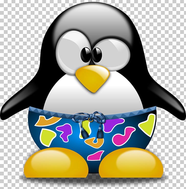 Swimsuit Tuxedo Swimming Penguin PNG, Clipart, Beak, Bird, Flightless Bird, Penguin, Shorts Free PNG Download