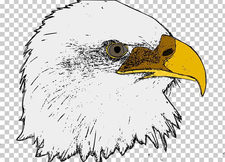 Bald Eagle Computer Icons PNG, Clipart, Accipitriformes, Animals, Art, Artwork, Bald Eagle Free PNG Download