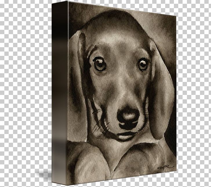Dachshund Weimaraner Puppy Love Dog Breed PNG, Clipart, Black, Black And White, Breed, Carnivoran, Dachshund Free PNG Download