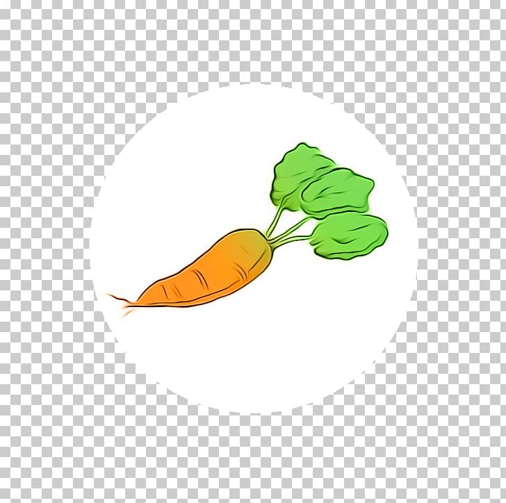 Leaf Petal Fruit PNG, Clipart, Carrot, Food, Fruit, Leaf, Orange Free PNG Download