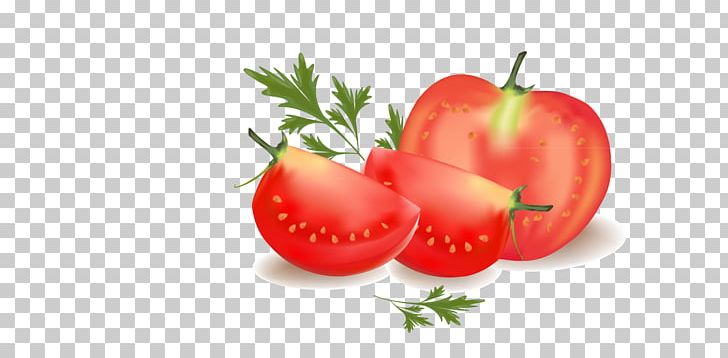 Tomato Vegetable PNG, Clipart, Cartoon, Cartoon Tomato, Cherry Tomato, Computer Icons, Diet Food Free PNG Download