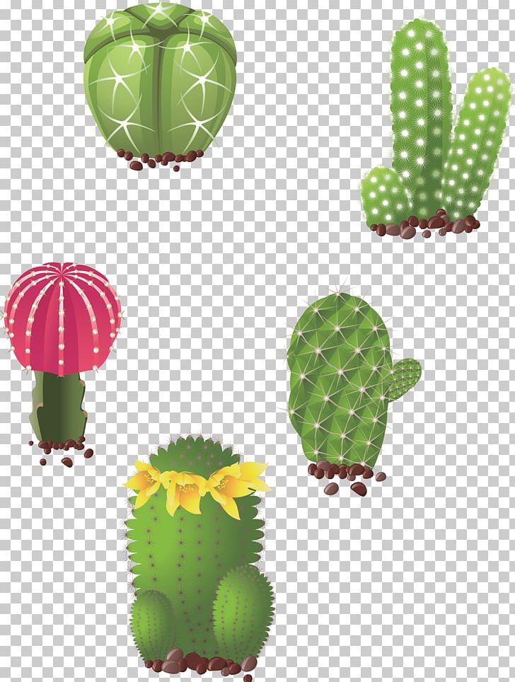 Cactaceae Succulent Plant Drawing Illustration PNG, Clipart, Barbary Fig, Cactus, Caryophyllales, Depositphotos, Euclidean Vector Free PNG Download