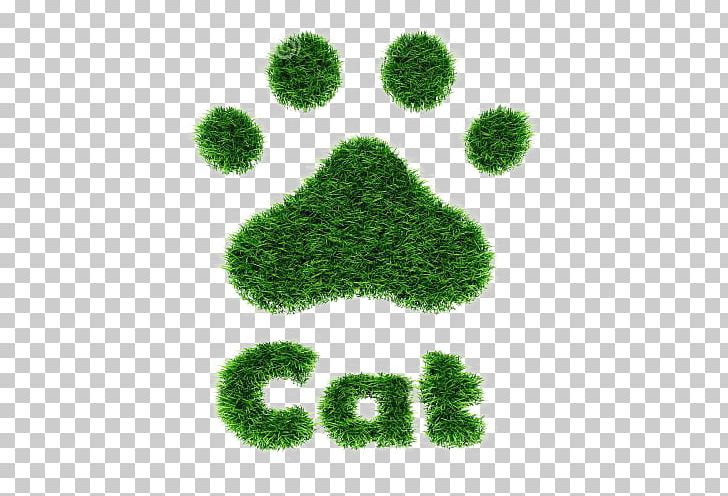 Cat Footprint Animal Track PNG, Clipart, Animal, Animal Footprint, Animal Track, Animation, Cartoon Free PNG Download