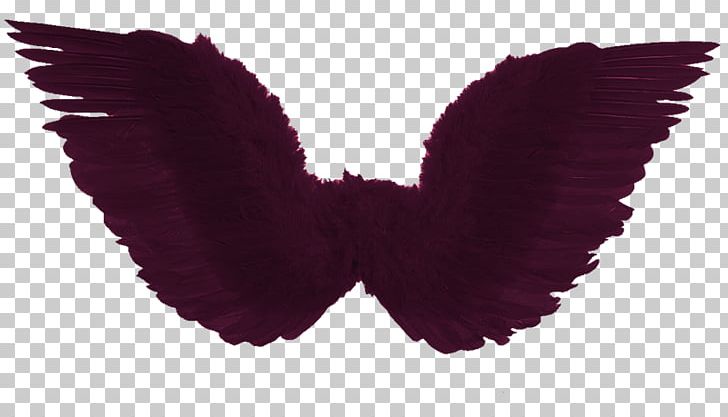 Costume Party Disguise Halloween Feather PNG, Clipart, Aile, Angel, Butterfly, Carnival, Clothing Free PNG Download