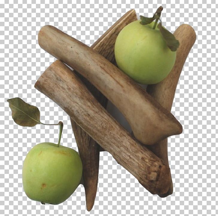 Dog Food Antler Apple Cider Flavor PNG, Clipart, Animals, Antler, Apple Cider, Apple Cider Vinegar, Bone Free PNG Download