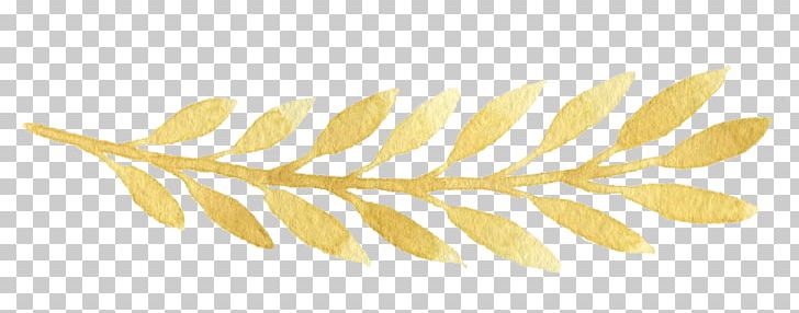 Leaf Gold PNG, Clipart, Angle, Autumn Leaves, Circle, Commodity, Download Free PNG Download
