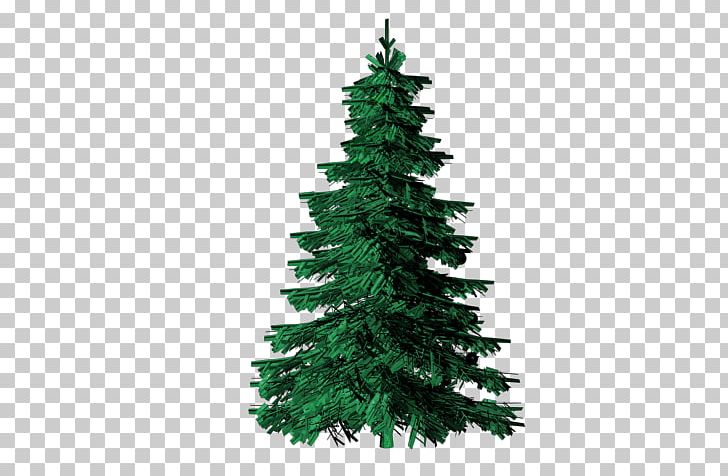 Evergreen Tree Pine PNG, Clipart, Christmas Decoration, Christmas Ornament, Christmas Tree, Conifer, Evergreen Free PNG Download