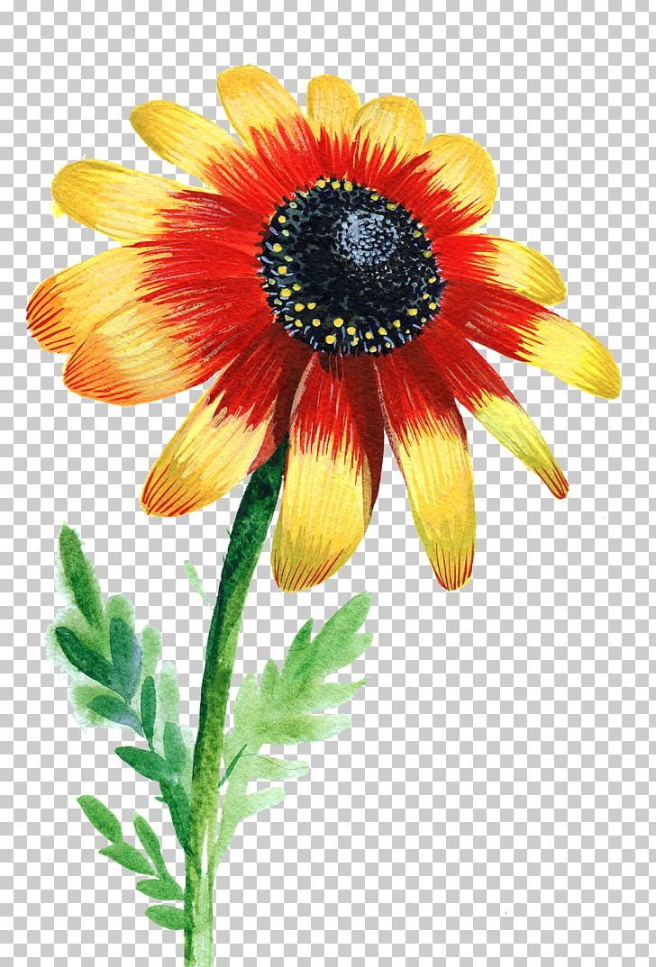 kleinkinder clipart flowers