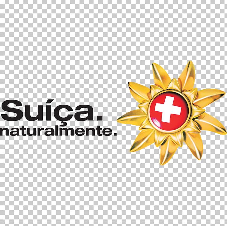 Switzerland Train Rail Transport Swiss Travel System PNG, Clipart, Boutique Hotel, Brand, Flower, Guidebook, Hotel Free PNG Download