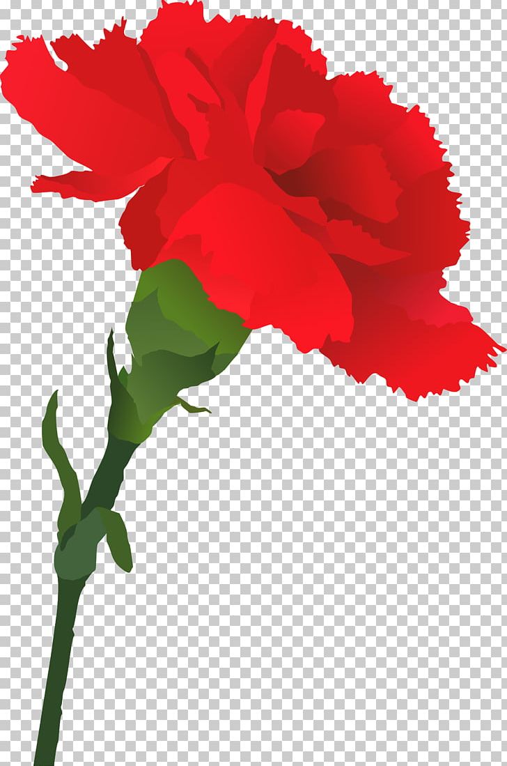 Carnation PNG, Clipart, Annual Plant, Desktop Wallpaper, Dianthus, Document, Drawing Free PNG Download