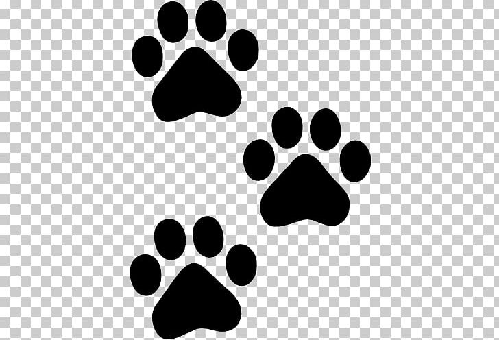 Cat Pet Sitting Dog Paw Animal Track PNG, Clipart, Animal, Animals, Animal Shelter, Animal Track, Black Free PNG Download