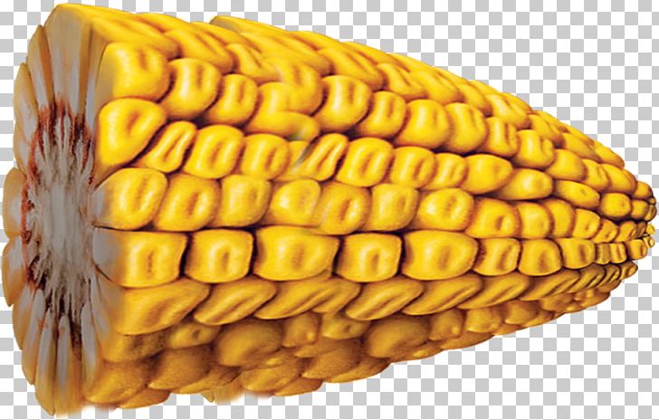 Finance Corn On The Cob Maize Money Credit PNG, Clipart, Commodity, Corn Kernel, Corn Kernels, Corn On The Cob, Credit Free PNG Download