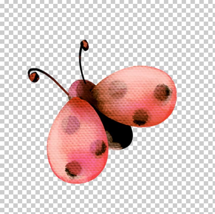 Ladybird Insect Coccinella Septempunctata PNG, Clipart, Butterfly, Cartoon, Computer Icons, Cute Ladybug, Fly Free PNG Download