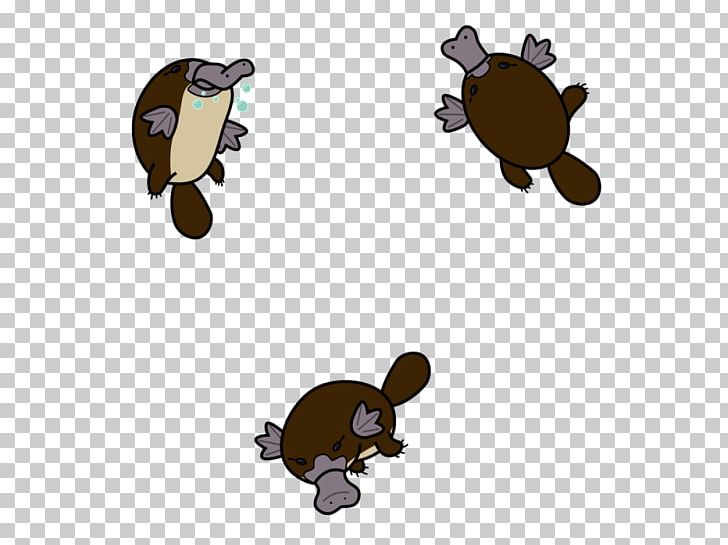Venomous Mammal Platypus Ornithorhynchidae PNG, Clipart, Beaver, Cartoon, Cute, Egg, Egg Laying Free PNG Download