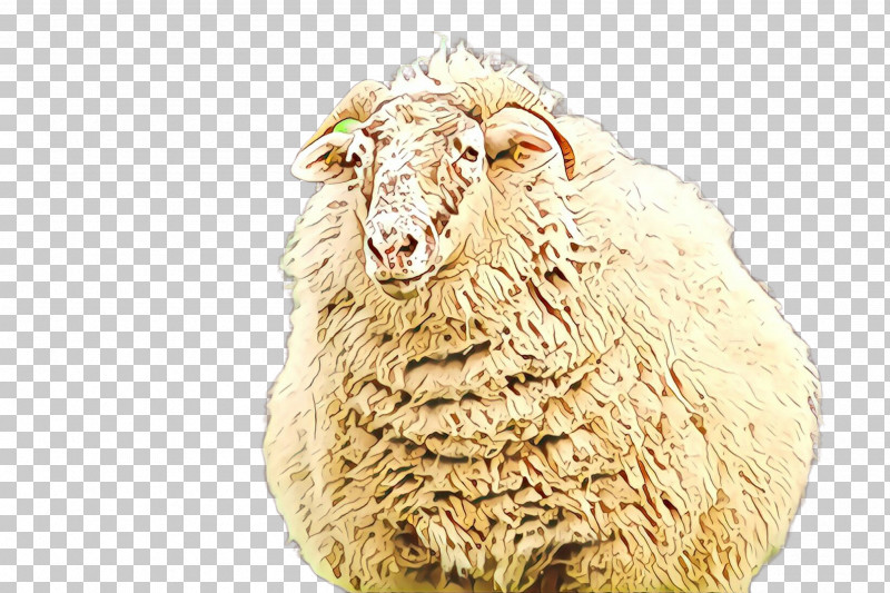 Sheep Sheep Livestock Cow-goat Family PNG, Clipart, Cowgoat Family, Livestock, Sheep Free PNG Download