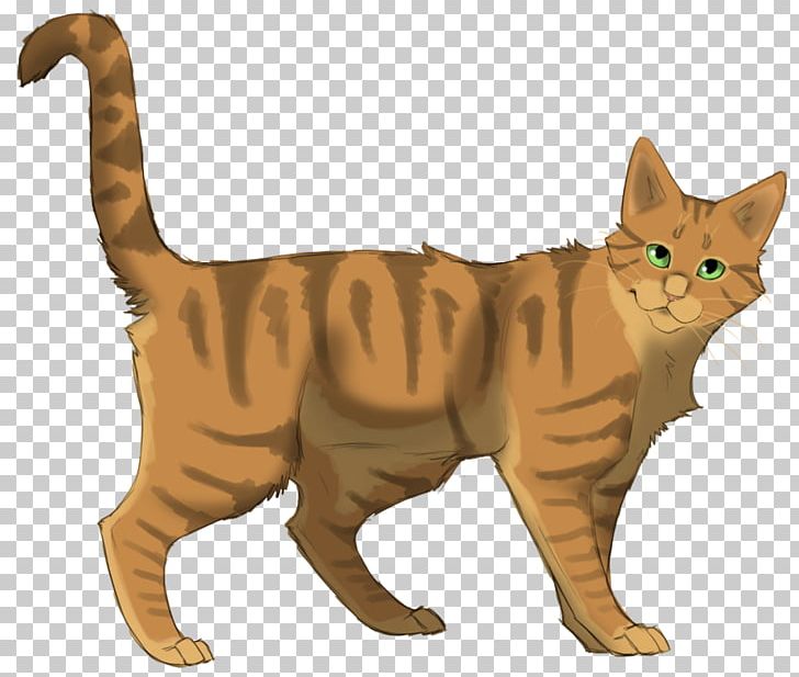 Crookedstar's Promise Warriors Erin Hunter PNG, Clipart, American Shorthair, American Wirehair, Carnivoran, Cat Like Mammal, Dragon Li Free PNG Download