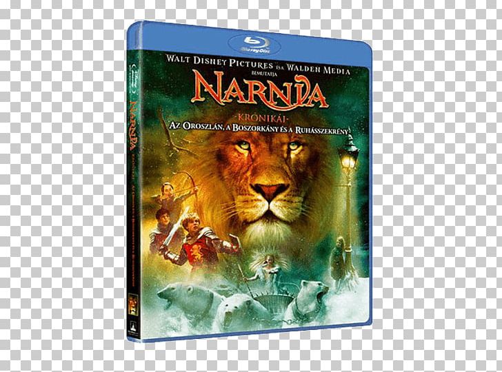 The Lion PNG, Clipart, Big Cats, Cat Like Mammal, Chronicles Of Narnia, Fantasy, Fauna Free PNG Download