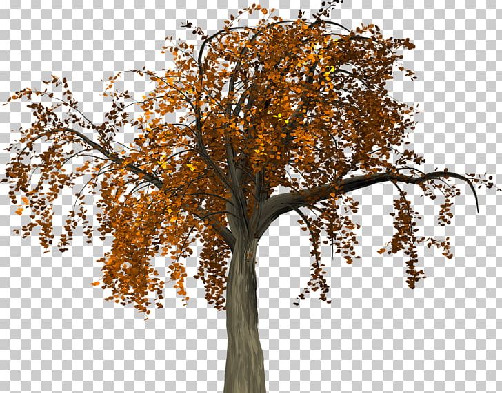 Tree Autumn Branch PNG, Clipart, Autumn, Autumn Leaf Color, Autumn Leaves, Branch, Bud Free PNG Download