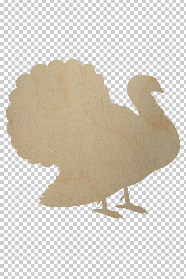 Turkey PNG, Clipart, Beak, Bird, Chicken, Cutout, Cut Out Free PNG Download