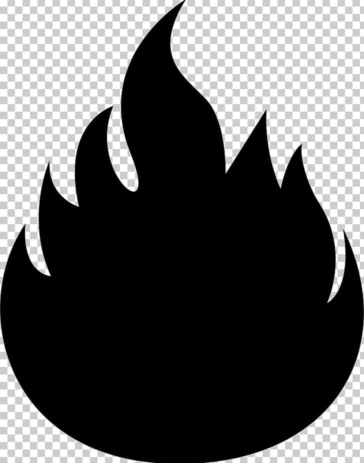 Computer Icons Flame Fire PNG, Clipart, Black, Black And White, Clip Art, Color, Combustion Free PNG Download
