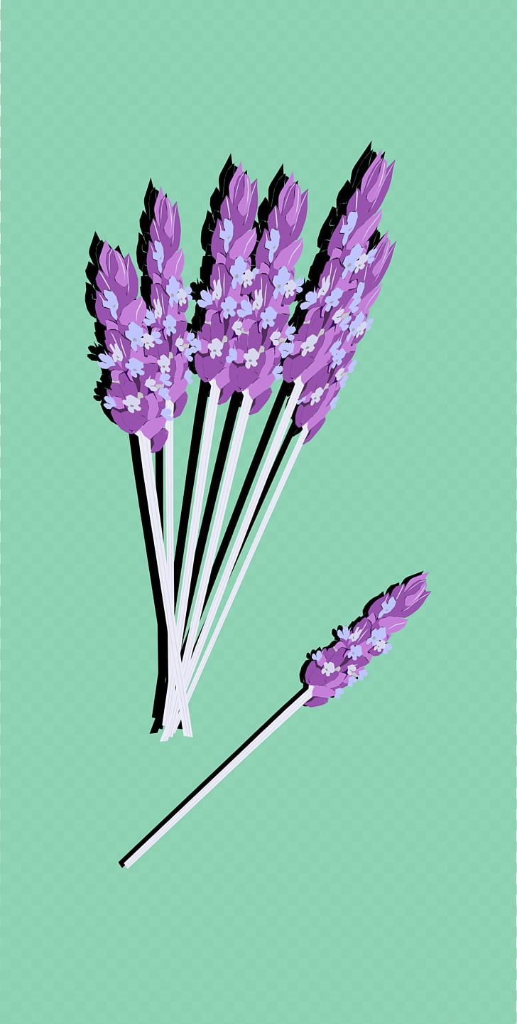 English Lavender PNG, Clipart, English Lavender, Flower, Flowering Plant, Graphic Design, Lavender Free PNG Download