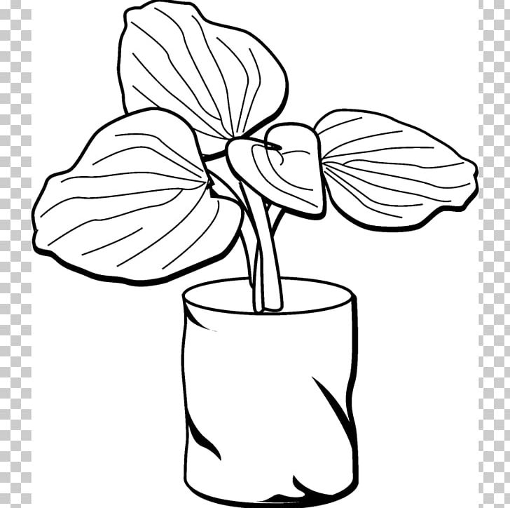 Floral Design Cut Flowers Plant Stem Leaf Line Art PNG, Clipart, Artwork, Black And White, Cartoon, Character, Cut Flowers Free PNG Download