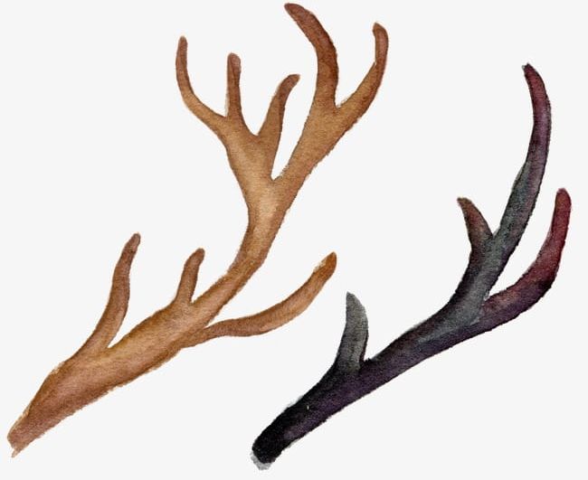 Hand-painted Watercolor Antlers PNG, Clipart, Animal, Antlers, Antlers Clipart, Brown, Cartoon Free PNG Download
