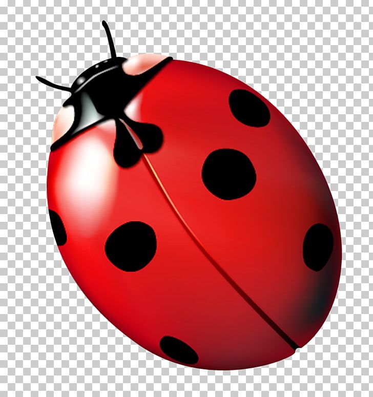 Ladybird Ladybug PNG, Clipart, Baidu Wangpan, Beautiful, Beautiful Ladybug, Beetle, Common Sage Free PNG Download