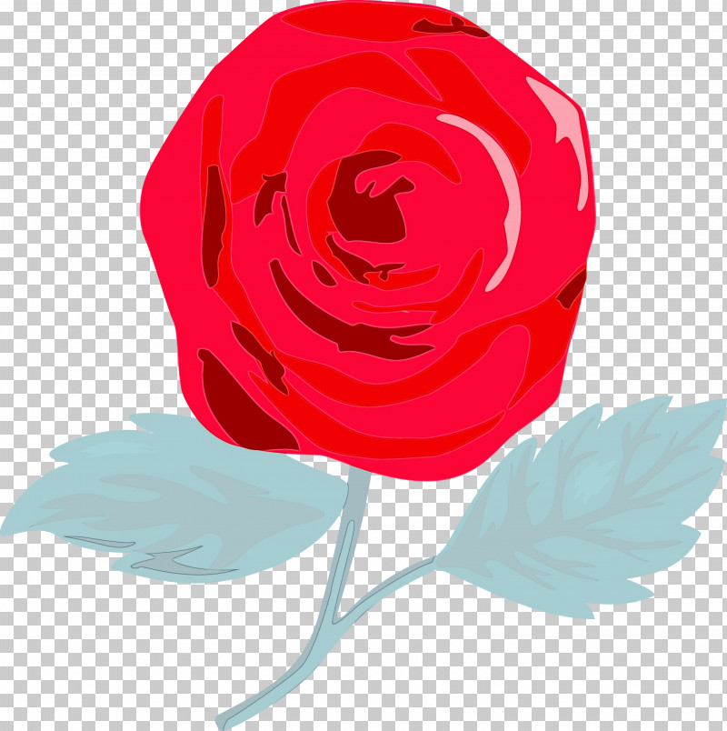 Garden Roses PNG, Clipart, Flower, Garden Roses, Paint, Petal, Pink Free PNG Download