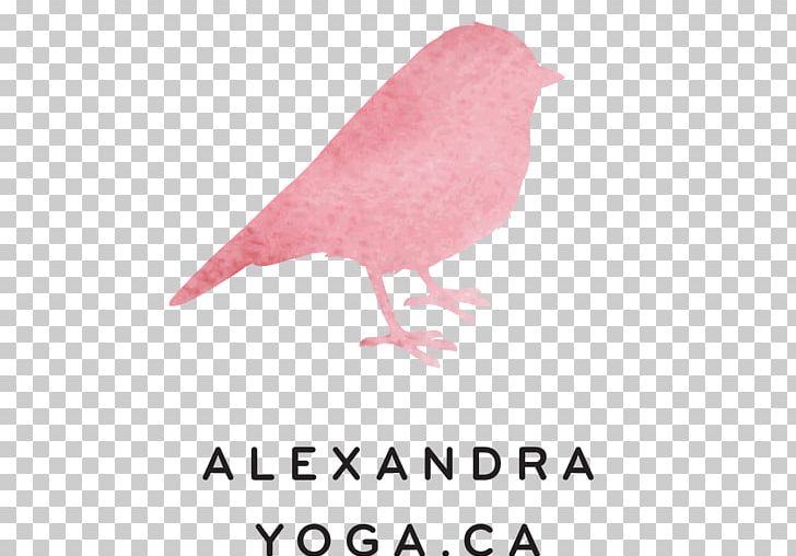 Alexandra Yoga Asana Vinyāsa Añjali Mudrā PNG, Clipart, Ahimsa, Asana, Beak, Bird, Fauna Free PNG Download