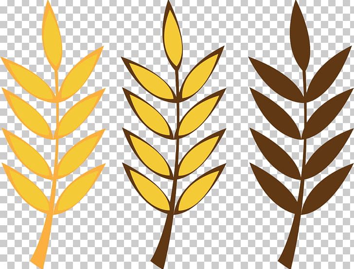 Cartoon Wheat Oat PNG, Clipart, Autumn, Black And White, Botany, Branch, Cereal Free PNG Download
