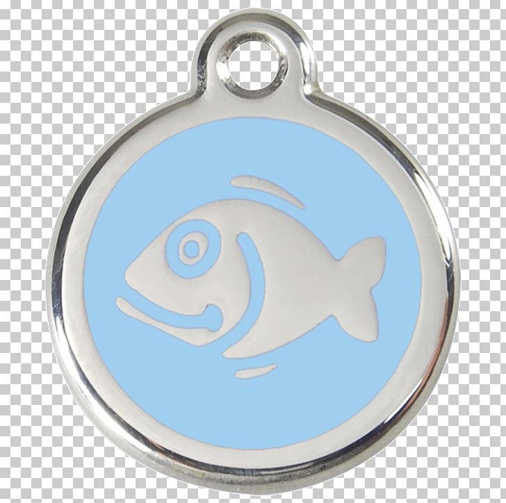 Cat Dog Dingo Pet Tag PNG, Clipart, Animals, Aquarium, Body Jewelry, Canidae, Cat Free PNG Download
