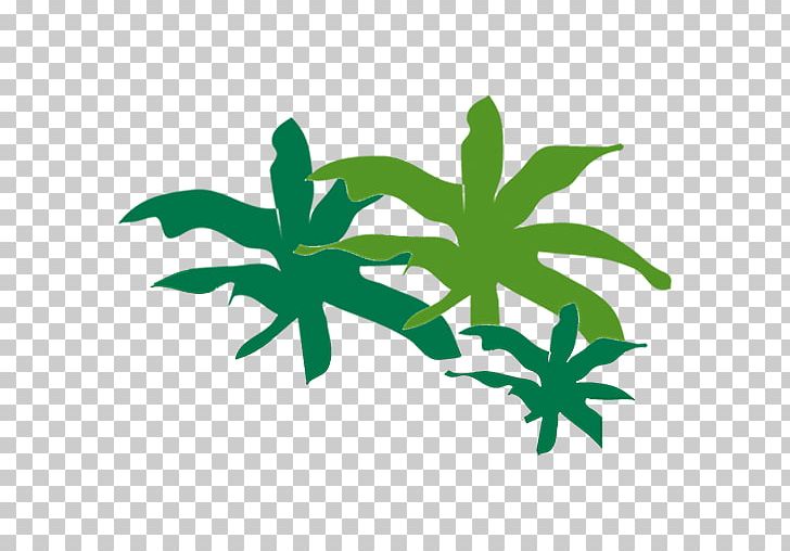 Leaf Green Plant Stem Flower PNG, Clipart, Flower, Grass, Green, Leaf, Line Free PNG Download