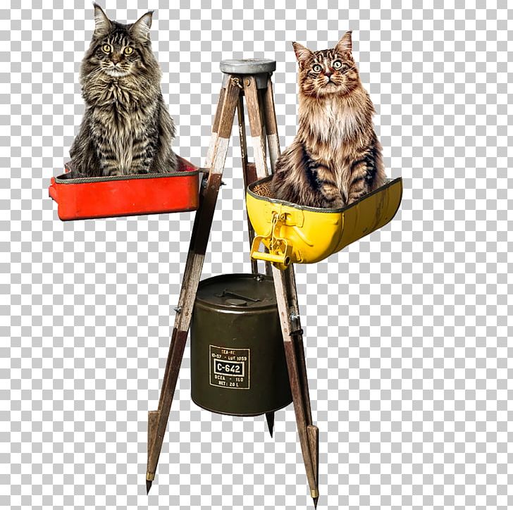 Maine Coon Cat Tree Dog Banquette Tripod PNG, Clipart, Animal, Banquette, Bed, Cat, Cat Tree Free PNG Download