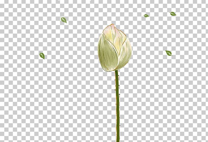 Nelumbo Nucifera Chemical Element PNG, Clipart, Bud, Chemical Element, Decorative Elements, Design Element, Elements Free PNG Download