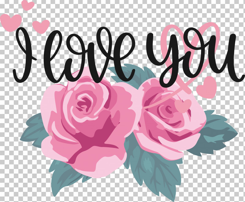 I Love You Valentine Valentines Day PNG, Clipart, Cabbage Rose, Cut Flowers, Flora, Floral Design, Flower Free PNG Download