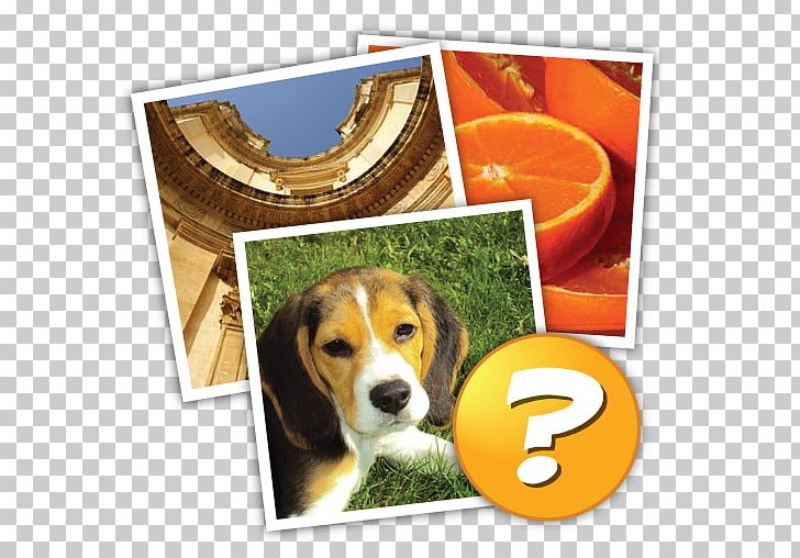 4 Pics 1 Word: More Words 4 Pics 1 Word: Travel! 4 Pics 1 Word PNG, Clipart, 4 Pics 1 Word, 4 Pics 1 Word Travel, Android, App Store, Beagle Free PNG Download