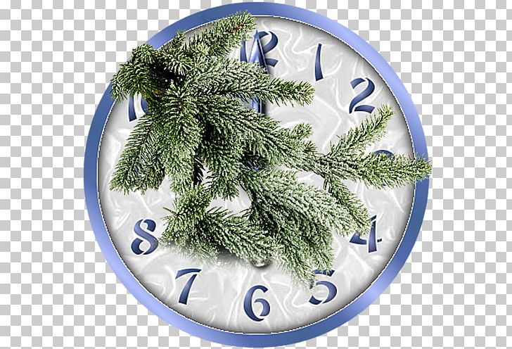 Fir Branch Tree Spruce Pine PNG, Clipart, Branch, Christmas, Christmas Ornament, Conifer, Dreamland Free PNG Download