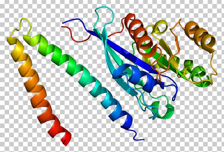 RAB7A RILP Protein GTPase PNG, Clipart, Body Jewelry, Cytoskeleton, Effector, Endocytosis, Gene Free PNG Download