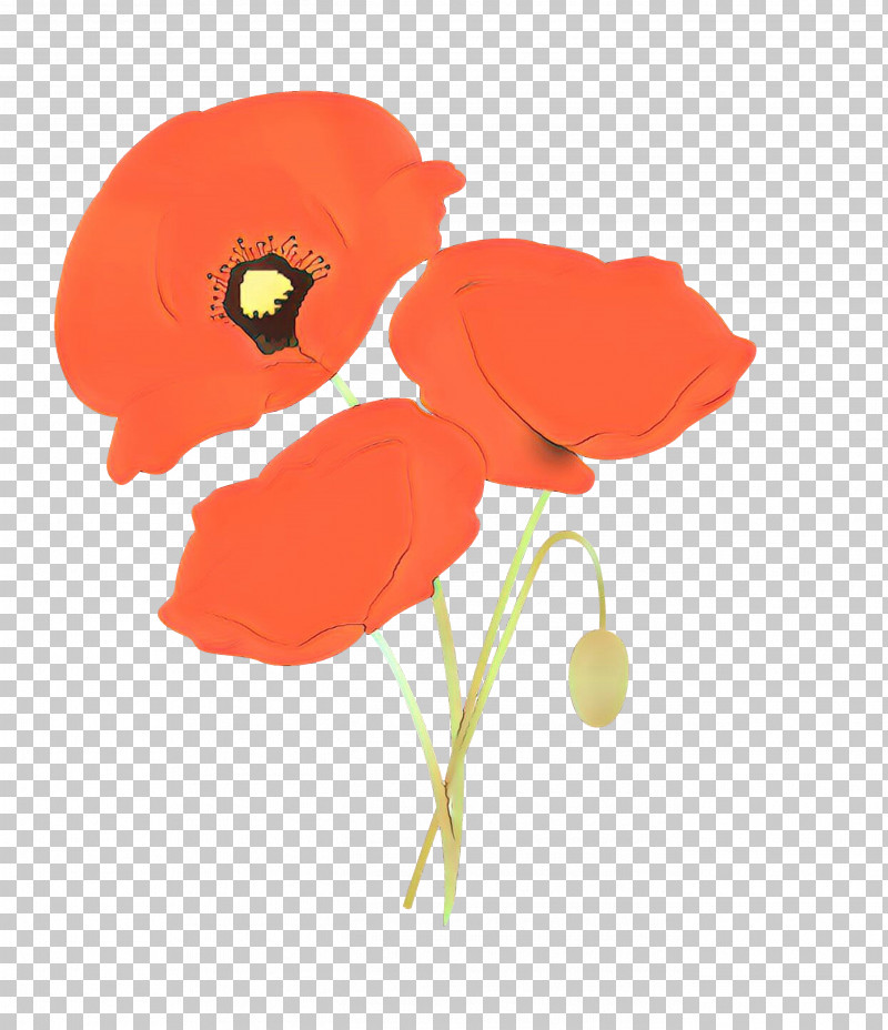 Flower Coquelicot Red Poppy Plant PNG, Clipart, Anemone, Coquelicot, Corn Poppy, Cut Flowers, Flower Free PNG Download