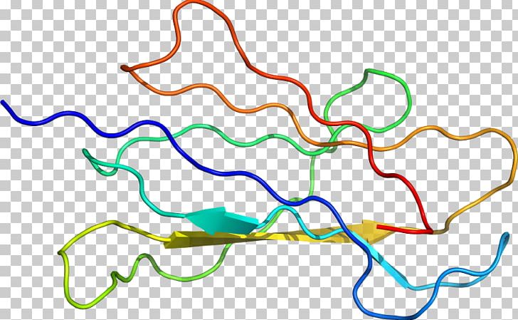 Line Point Organism PNG, Clipart, Area, Art, B 1, Beta, D 3 Free PNG Download