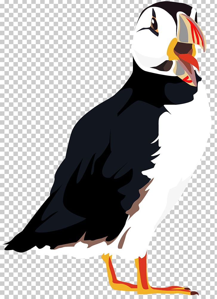 Puffin Bird Beak Character PNG, Clipart, Beak, Bird, Bird Of Prey, Character, Fiction Free PNG Download