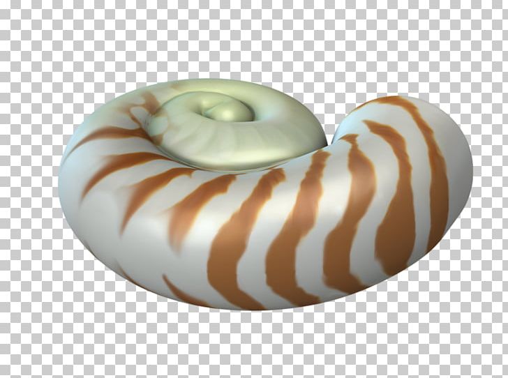 Animal Orthogastropoda Snail PNG, Clipart, 3d Animation, Animal, Animals, Animation, Anime Character Free PNG Download